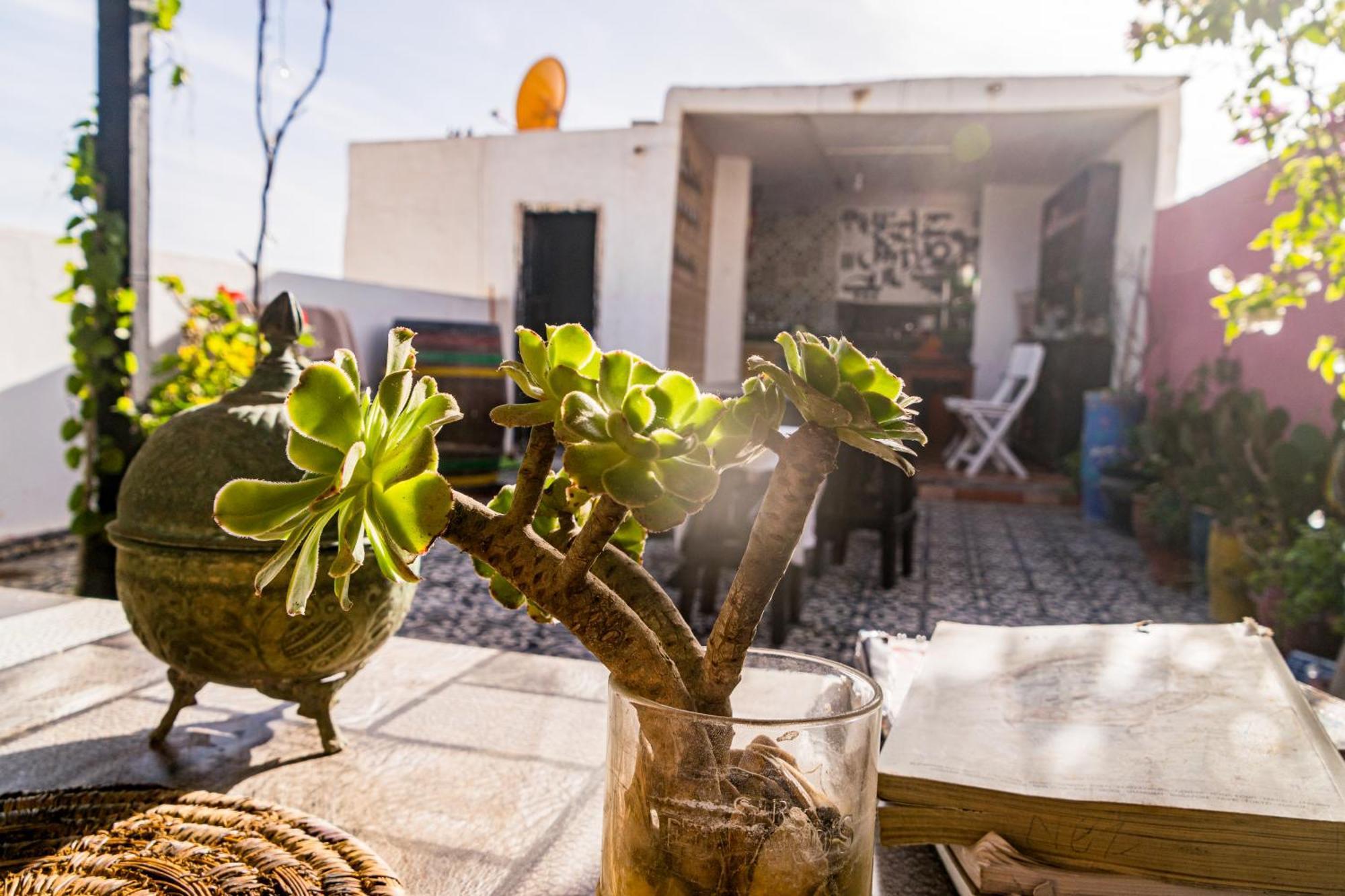 Essaouira Youth Hostel & Social Travel Ngoại thất bức ảnh