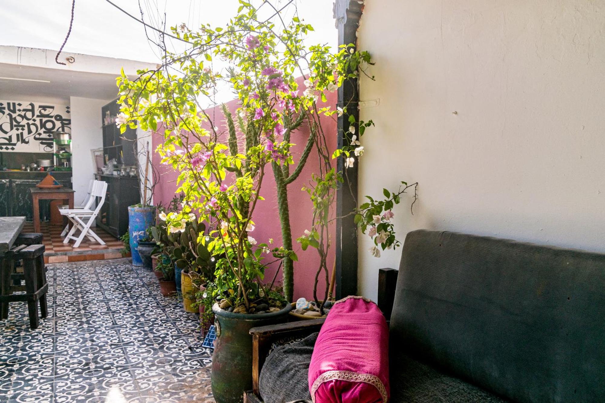 Essaouira Youth Hostel & Social Travel Ngoại thất bức ảnh